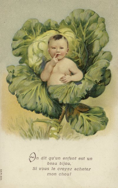 Bébé dans un chou (chromolitho) - French School