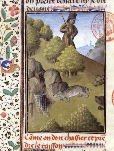 Chasse au blaireau - dans "Livre de chasse de Gaston Phoebus, Comte de Foix, Seigneur de Béarn" - French School