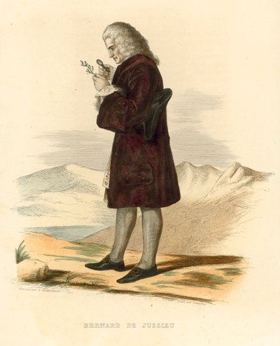 Bernard de Jussieu - French School