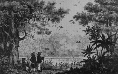 Chasse aux oiseaux, de 