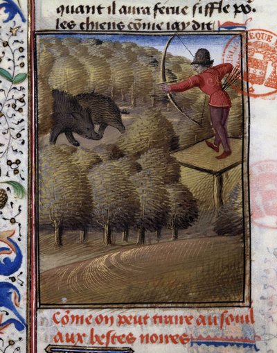Chasse au sanglier à l