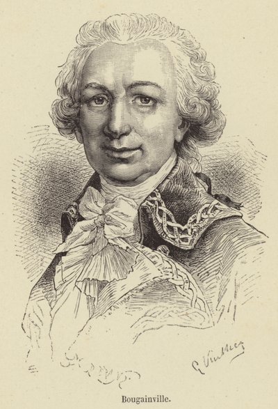 Bougainville (gravure) - French School
