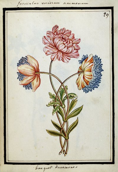 Bouquet d