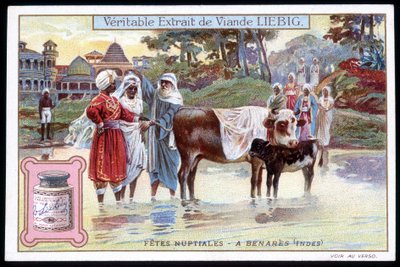 Fêtes nuptiales à Bénarès, Inde - chromo. Liebig, v. 1895 - French School