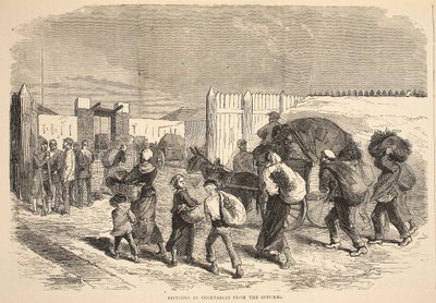 Apport de légumes des banlieues, illustration de l
