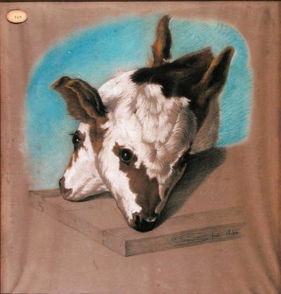 Veau à deux têtes - French School