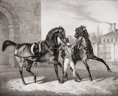 Chevaux de Carrosse pour le Roi d