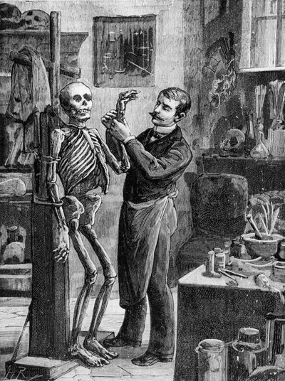 Affaire Gouffé : La reconstruction imaginaire du cadavre Gouffé par le Dr Lacassagne - dans « La Malle Sanglante » - French School