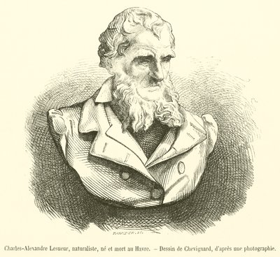 Charles-Alexandre Lesueur, naturaliste, né et mort au Havre - French School