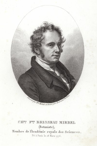 Charles-François Brisseau de Mirbel - French School