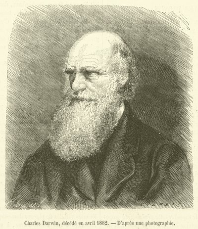 Charles Darwin, décédé en avril 1882 - French School
