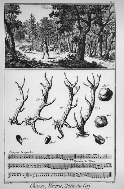 Chasse - la quête du cerf - « La Grande Encyclopédie, ou Dictionnaire Raisonné des Sciences, des Arts et des Métiers » par Denis Diderot et Jean d