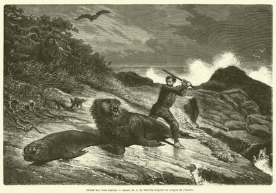 Chasse aux lions marins - French School