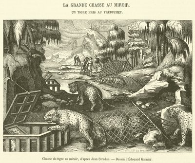 Chasse du tigre au miroir - French School