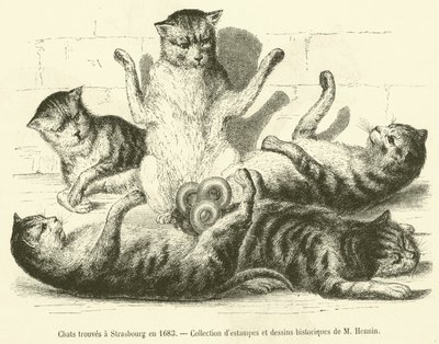 Chats trouvés à Strasbourg en 1683 - French School