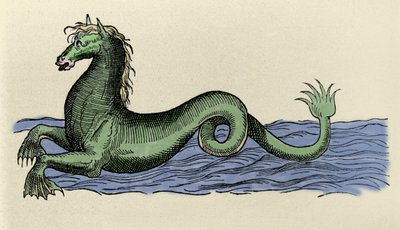 Cheval marin dans « De Aquatilibus » - French School
