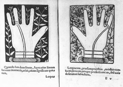 Mains chiromantiques, illustration de Chiromatiae Principiis...Anastasis par Bartolommeo della Rocca (Cocles) 1467-1504) 1555 - French School