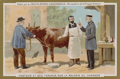 Carte de commerce Chocolat d