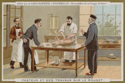 Carte de commerce Chocolat d