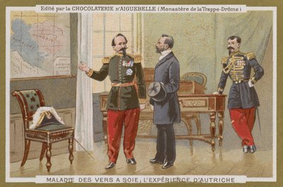 Carte de commerce Chocolat d