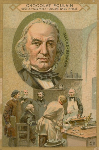 Claude Bernard, carte de commerce Chocolat Poulain - French School
