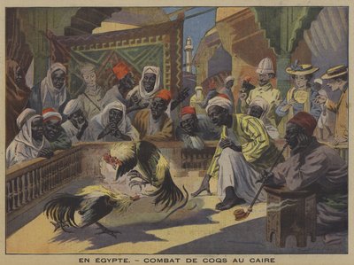 Combat de coqs au Caire - French School