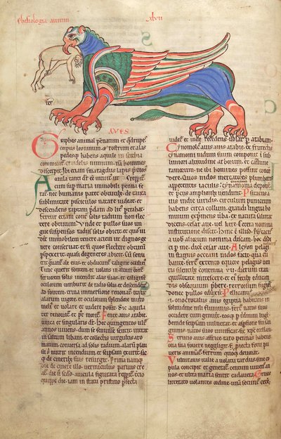 Un griffon dévorant un homme, du Liber Floridus par Lambert de Saint-Omer vers 1120 - French School