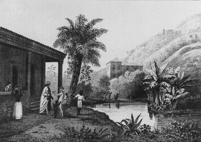 Plantation de café, de 