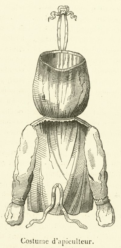 Costume d