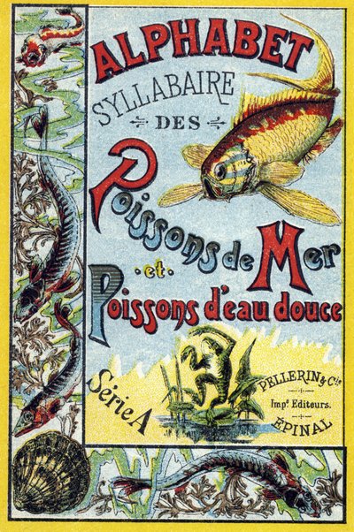 Couverture de "Syllabaire alphabet des poissons de mer et d