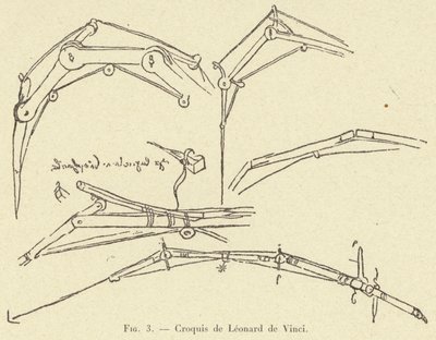 Croquis de Léonard de Vinci - French School