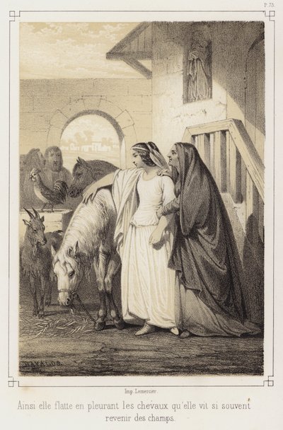 En pleurs, elle caressait les chevaux qu
