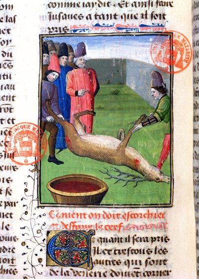 Découpe des pattes d