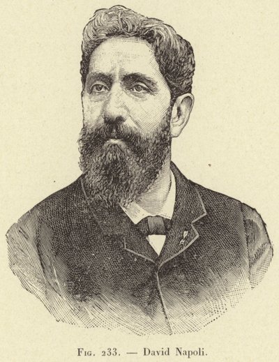David Napoli - French School