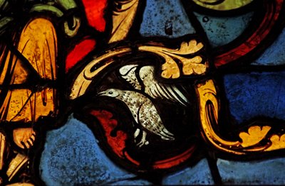 Un oiseau sur l
