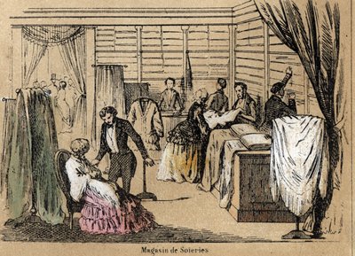 Description de la culture et des produits de la soie : une boutique de soie. Planche "La soie" dans "Les Récréations instructives" par Jules Delbruck - French School