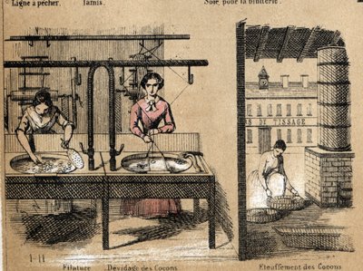 Description de la culture et des produits de la soie : des ouvriers filant la soie, retirant ou étouffant les cocons. Planche "La soie" dans "Les Récréations instructives" peinture synoptique de Jules Delbruck, gravure de 1860. Collection privée. - French School