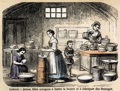 Description des divers métiers et produits du mouton : jeunes laitières fabriquant du beurre et des fromages dans une laiterie. Planche "Les moutons" dans "Les Récréations instructives" par Jules Delbruck - French School