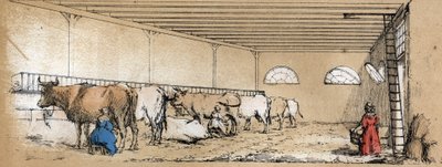 Description des divers produits et usages de la vache : traite et production de lait de vache, vue d