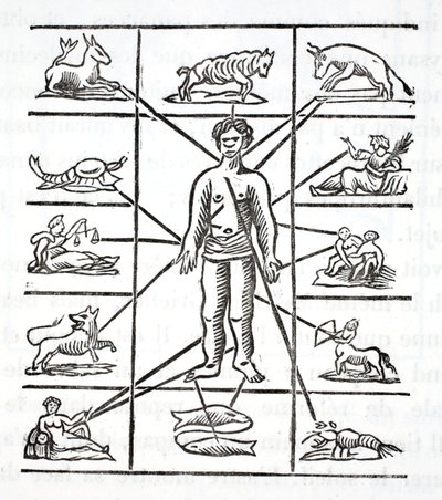Désignation des parties que chaque signe gouverne - French School