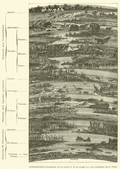 Développements progressifs de la flore et de la faune aux âges successifs de la terre - French School