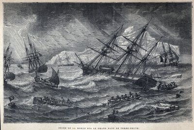 Pêche à la morue sur le Grand Banc de Terre-Neuve. Gravure de la fin du XIXe siècle dans "La nouvelle France" par Eugène Guenin - French School