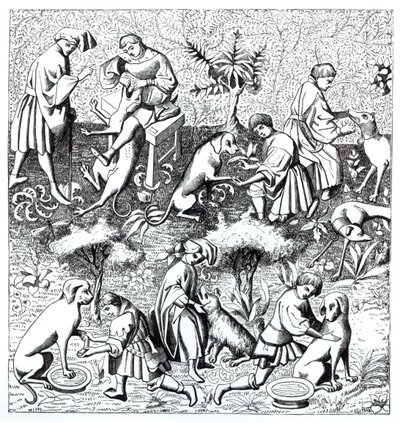 Maladies des chiens et leur guérison, d