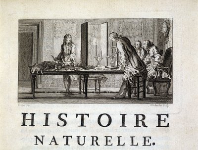 Dissection des animaux - dans "Histoire naturelle, générale et particulière" par Buffon - French School