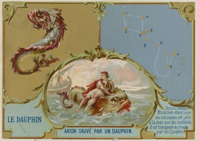 Dauphin - Arion est sauvé par un dauphin - French School