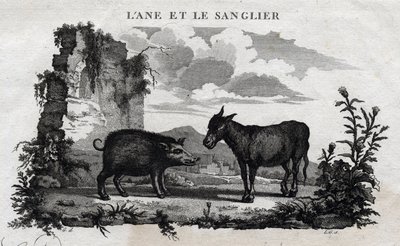 Âne et sanglier. Fable d