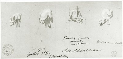 Dessin pour la restauration des gargouilles de Notre-Dame, 1855 - French School