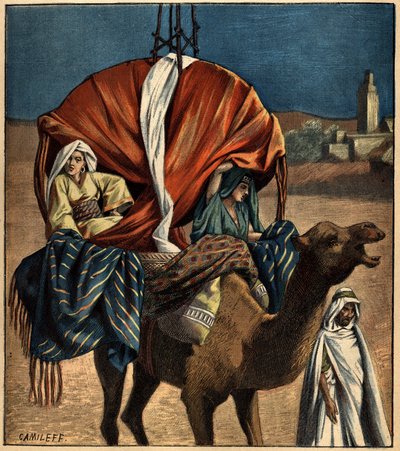 Dromadaire utilisé comme moyen de transport. Tunisie, Afrique - French School