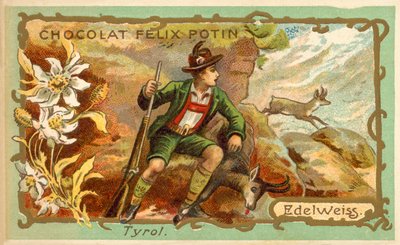 Edelweiss, Tyrol (chromolithographie) - French School