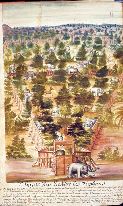 Chasse à l